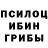 Псилоцибиновые грибы Magic Shrooms carlos zabal