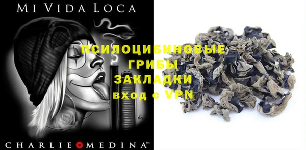 прущий лед Новозыбков