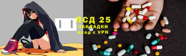 PSILOCYBIN Новодвинск