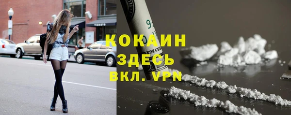 PSILOCYBIN Новодвинск
