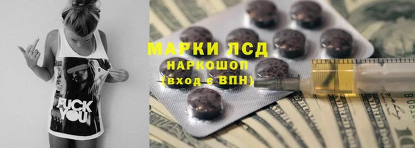 прущий лед Новозыбков