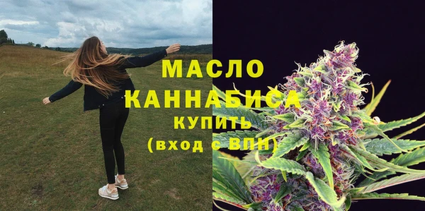 прущий лед Новозыбков