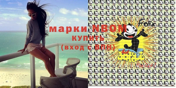 прущий лед Новозыбков