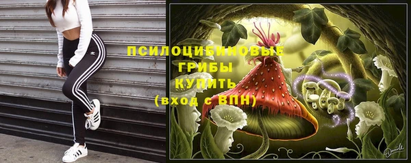 МДПВ Нефтегорск