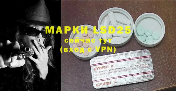 прущий лед Новозыбков