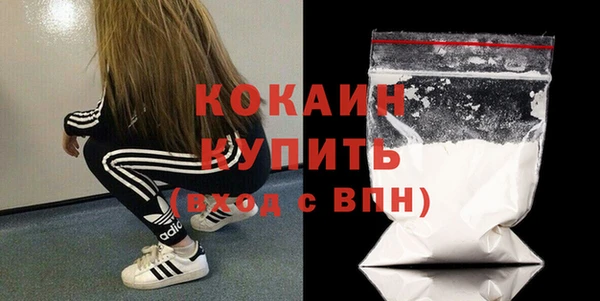 прущий лед Новозыбков
