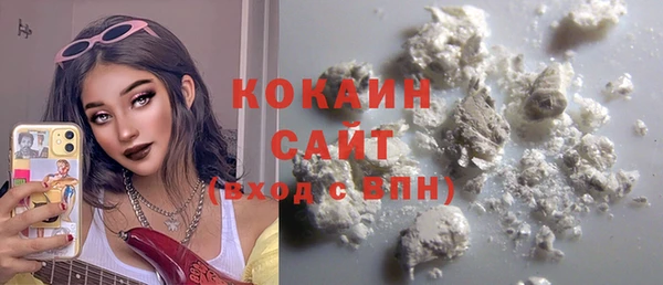 прущий лед Новозыбков