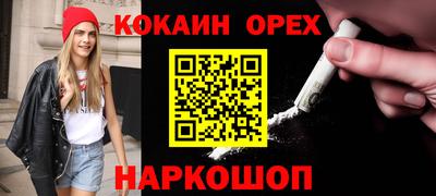 мет Кингисепп