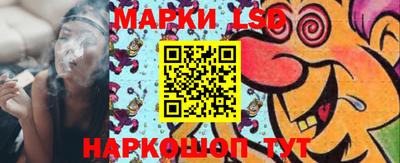 амф Кимры