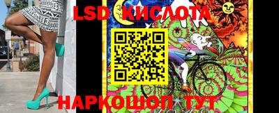 амф Кимры