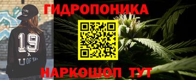 прущая мука Гусев