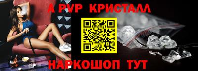 мет Кингисепп