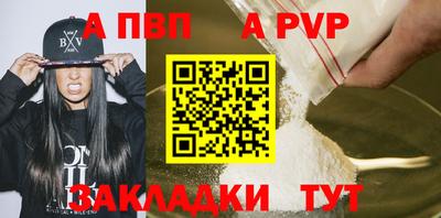 мет Кингисепп