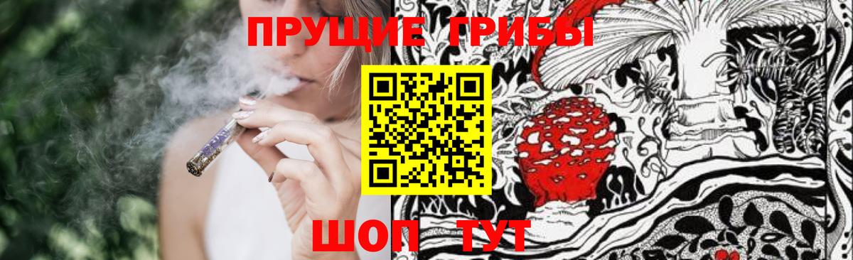 закладка  Магадан  Псилоцибиновые грибы мицелий  Галлюциногенные грибы мицелий 