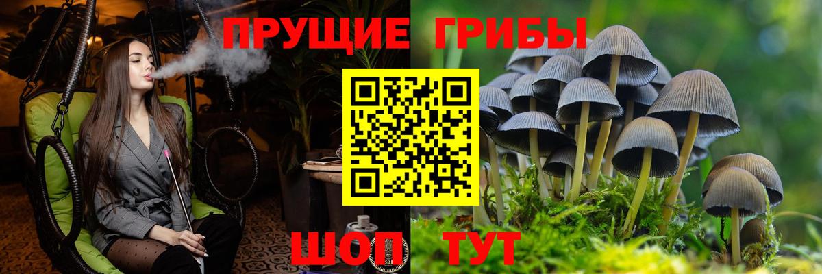 Галлюциногенные грибы мухоморы Магадан