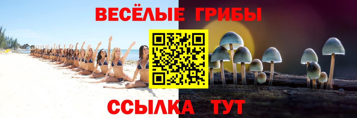Псилоцибиновые грибы MAGIC MUSHROOMS Магадан
