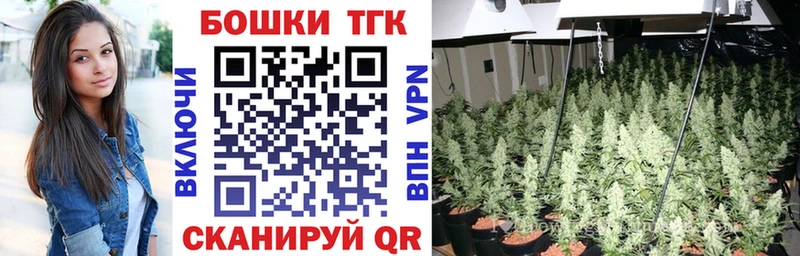 Бошки марихуана индика  Магадан 